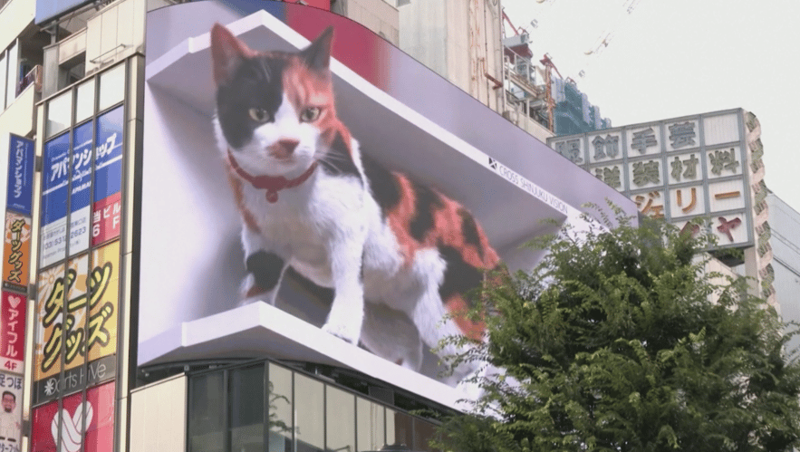 Cat On Billboard